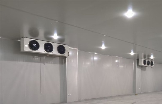 冷庫用冷風機-冷庫蒸發器-冷庫室內機-風冷冷庫機 
